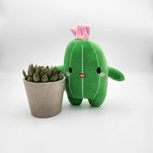 Load image into Gallery viewer, Succulent &amp; Cactus Plushie Gift - Sydney Only
