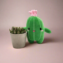 Load image into Gallery viewer, Succulent &amp; Cactus Plushie Gift - Sydney Only
