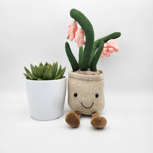 Load image into Gallery viewer, Succulent &amp; Pink Lily Plushie Gift - Sydney Only
