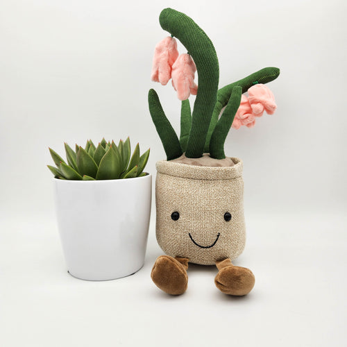 Succulent & Pink Lily Plushie Gift - Sydney Only