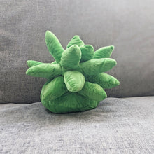 Load image into Gallery viewer, Succulent Plushie Pillow
