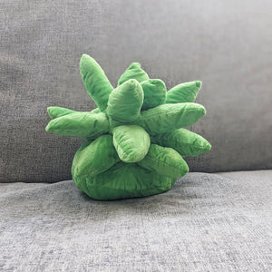 Succulent Plushie Pillow