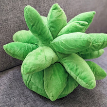 Load image into Gallery viewer, Succulent Plushie Pillow
