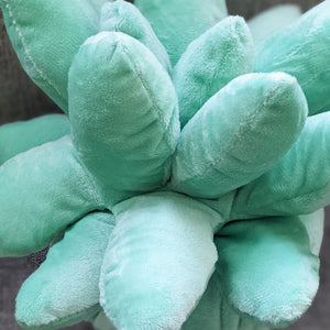 Succulent Plushie Pillow