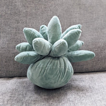 Load image into Gallery viewer, Succulent Plushie Pillow
