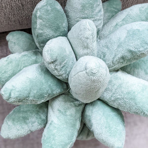 Succulent Plushie Pillow