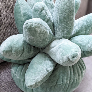 Succulent Plushie Pillow