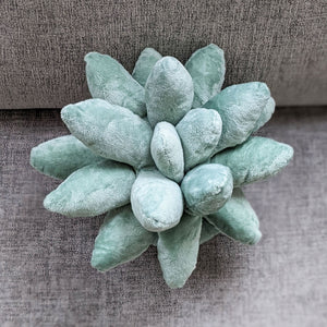 Succulent Plushie Pillow