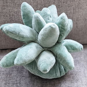 Succulent Plushie Pillow