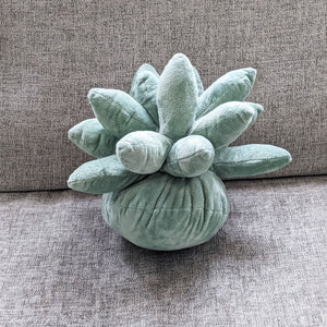 Succulent Plushie Pillow