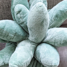 Load image into Gallery viewer, Succulent Plushie Pillow
