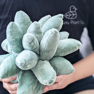 Succulent Plushie Pillow