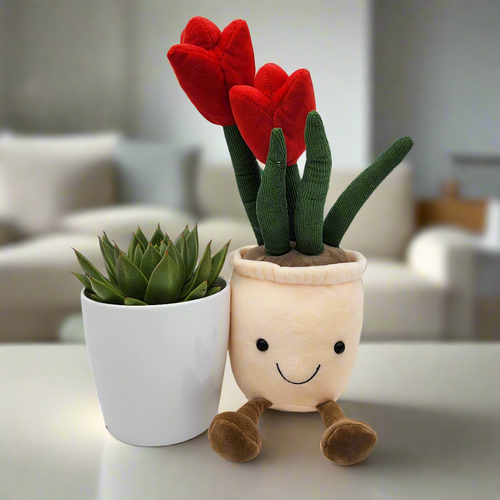 Succulent & Red Tulip Plushie Gift - Sydney Only