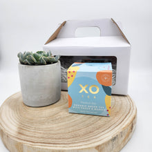 Load image into Gallery viewer, Succulent &amp; Tea Gift Pack - Sydney Only
