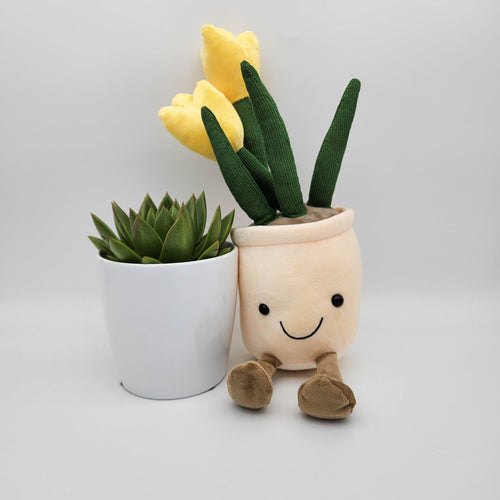 Succulent & Yellow Tulip Plushie Gift - Sydney Only