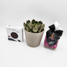 Load image into Gallery viewer, Sweet Happy Birthday Gift - Succulent Box

