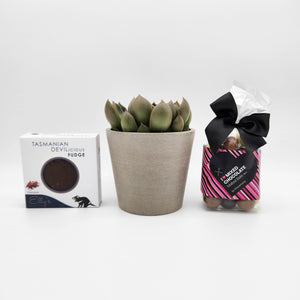Sweet Happy Birthday Gift - Succulent Box