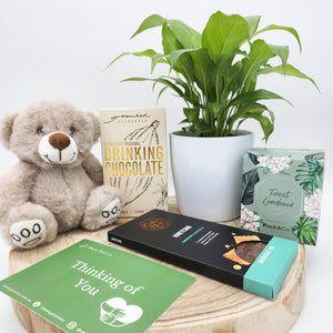 Sympathy - Plant Gift Hamper - Sydney Only