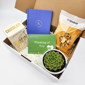 Sympathy - Succulent Hamper Gift Box