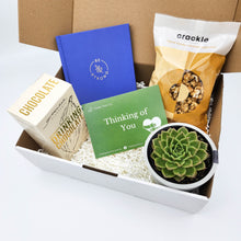 Load image into Gallery viewer, Sympathy - Succulent Hamper Gift Box
