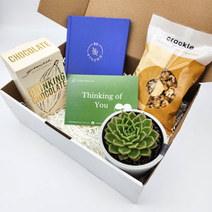 Sympathy - Succulent Hamper Gift Box