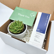 Load image into Gallery viewer, Tea &amp; Succulent Gift Box

