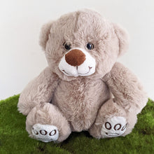 Load image into Gallery viewer, Teddy Bear Harry Grey
