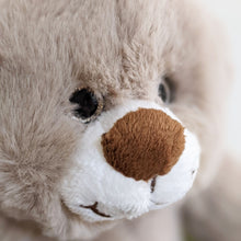 Load image into Gallery viewer, Teddy Bear Harry Grey
