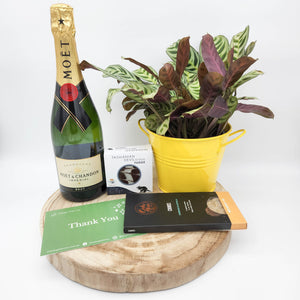 Thank You Champagne Hamper / Champagne Gift - Sydney Only