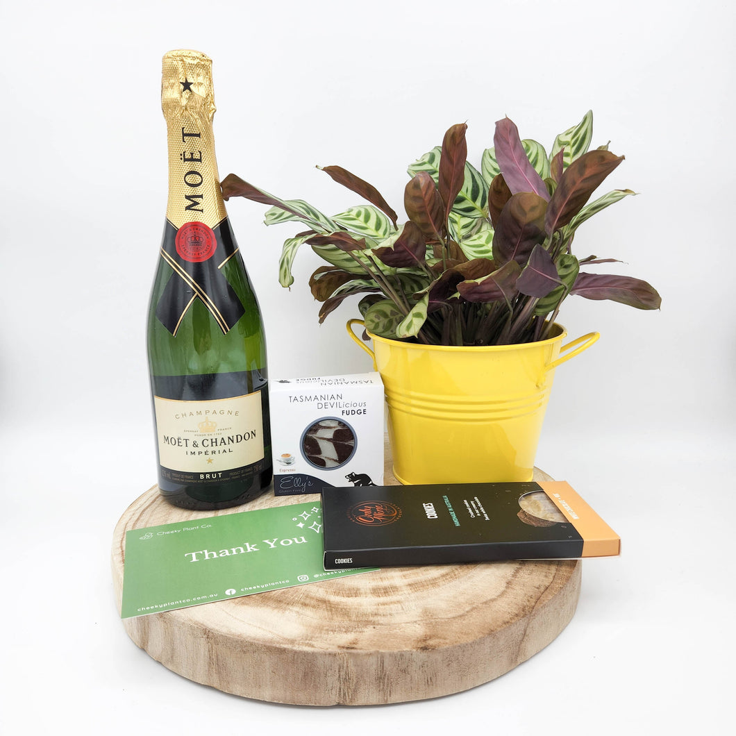 Thank You Champagne Hamper / Champagne Gift - Sydney Only