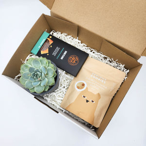 Thank You Heaps Gift - Succulent Box