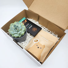 Load image into Gallery viewer, Thank You Heaps Gift - Succulent Box
