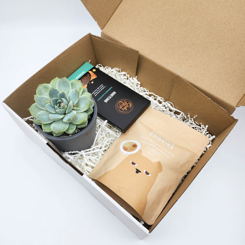 Thank You Heaps Gift - Succulent Box