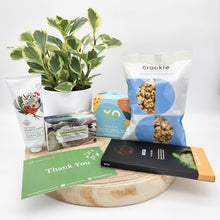 Load image into Gallery viewer, Thank You - Plant Gift Hamper - Sydney Only
