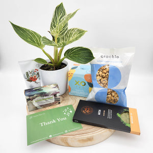 Thank You - Plant Gift Hamper - Sydney Only