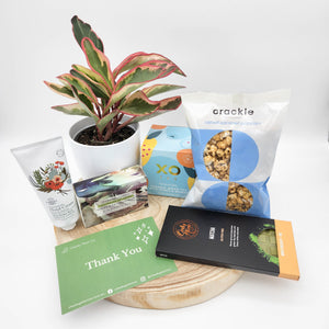Thank You - Plant Gift Hamper - Sydney Only