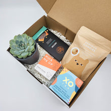 Load image into Gallery viewer, Thanks - Succulent Hamper Gift Box
