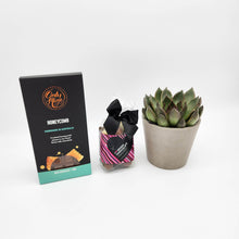Load image into Gallery viewer, Thinking of You Lots Gift - Succulent Box
