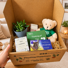 Load image into Gallery viewer, Thinking of You - Succulent Hamper / Succulent Gift Box
