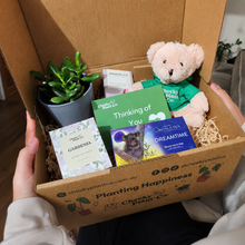 Load image into Gallery viewer, Thinking of You - Succulent Hamper / Succulent Gift Box
