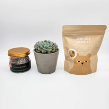 Load image into Gallery viewer, Thoughtful Sympathy Gift Hamper Box with Succulent
