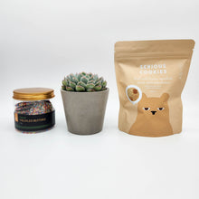 Load image into Gallery viewer, Thoughtful Sympathy Gift Hamper Box with Succulent

