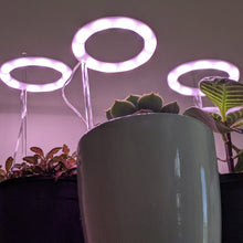 Load image into Gallery viewer, Three Rings White Grow Lights
