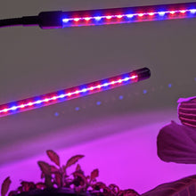 Load image into Gallery viewer, Two Headed Red/Blue Grow Lights
