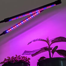 Load image into Gallery viewer, Two Headed Red/Blue Grow Lights
