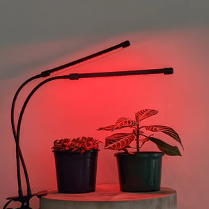 Two Headed Red/Blue Grow Lights