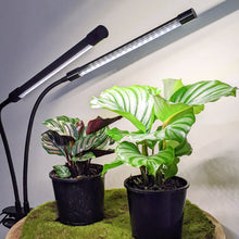 Load image into Gallery viewer, Two Headed White Grow Lights

