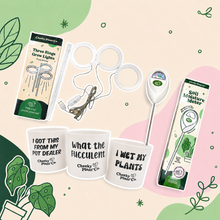 Load image into Gallery viewer, EOFY Cheeky Plant Parent Bundle
