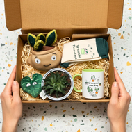 Plant Lovers - Succulent Gift Box