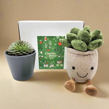 Load image into Gallery viewer, Cheeky Plant Plushie &amp; Succulent Gift Box
